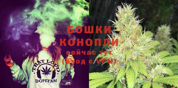 дмт Вяземский