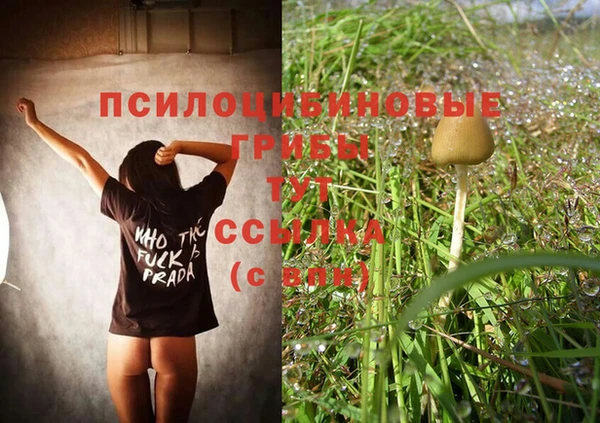 каннабис Володарск