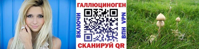 Галлюциногенные грибы Psilocybine cubensis  Купить  Мичуринск 