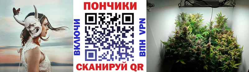 Бошки Шишки ГИДРОПОН Мичуринск